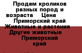 Продам кроликов разных пород и возраста  › Цена ­ 500 - Приморский край Животные и растения » Другие животные   . Приморский край